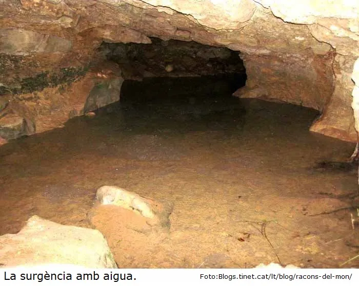 Fotografia de ULLALS DE LA CARROVA, COVA DELS (6 de 6)