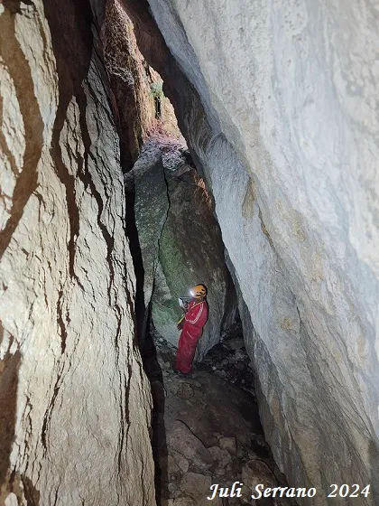 Fotografia de MATA, COVA D'EN (10 de 13)