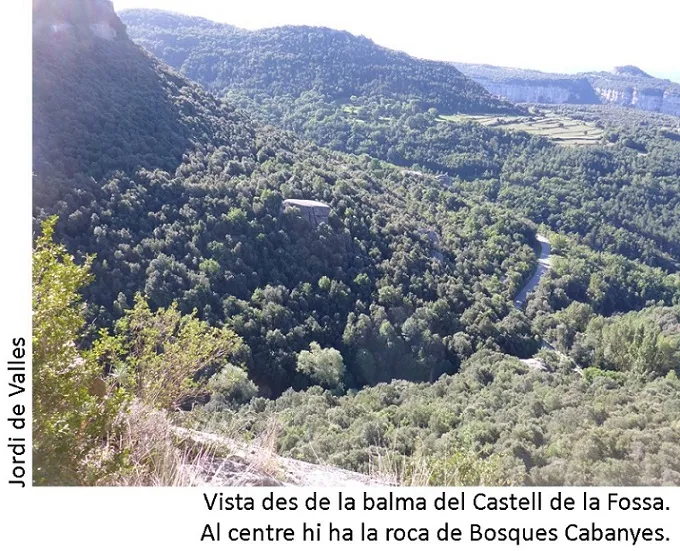 Fotografia de CASTELL DE LA FOSSA, BALMA DEL (7 de 7)