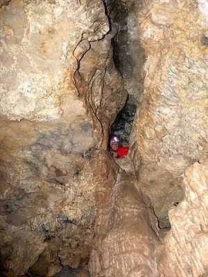 Fotografía de CASTELLOLÍ, COVES DE (10 de 10)