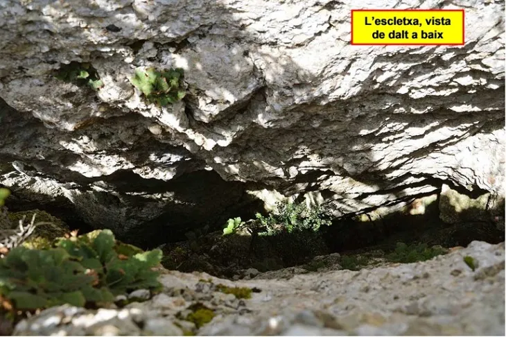 Photograph of CORRUBÍ, AVENC DE L'ESCLETXA PETITA DE (2 of 3)