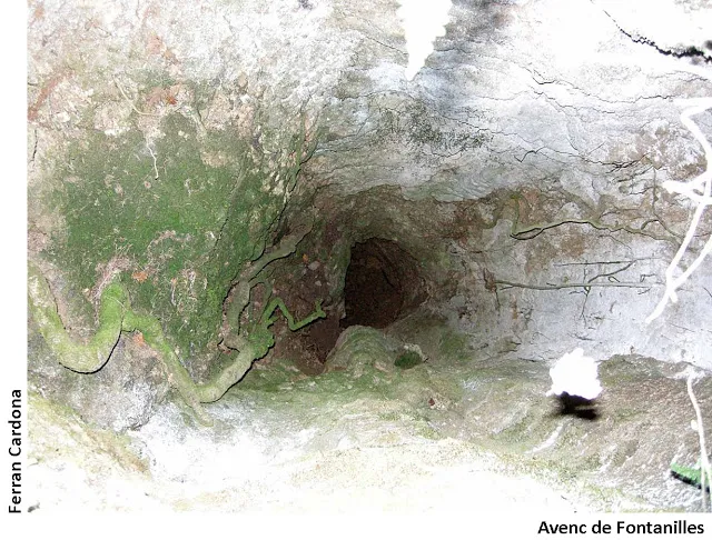Fotografia de FONTANILLES, AVENC DE (3 de 3)