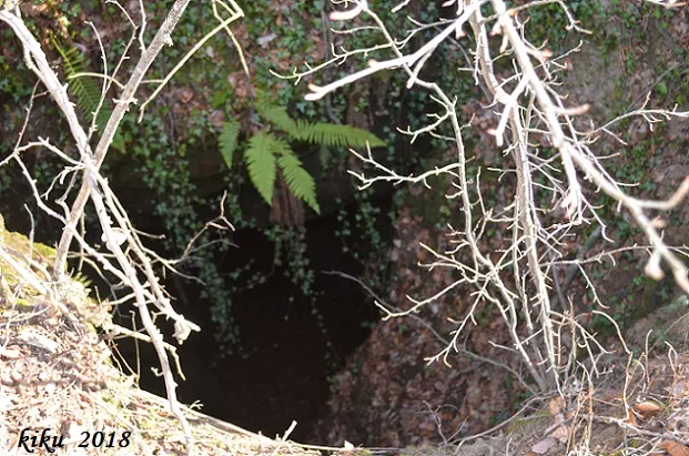 Photographie de LLOPS, FORAT DELS (4 sur 4)