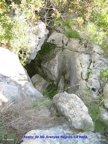 Fotografia de ARANYES NEGRES, AVENC DE LES (1 de 1)