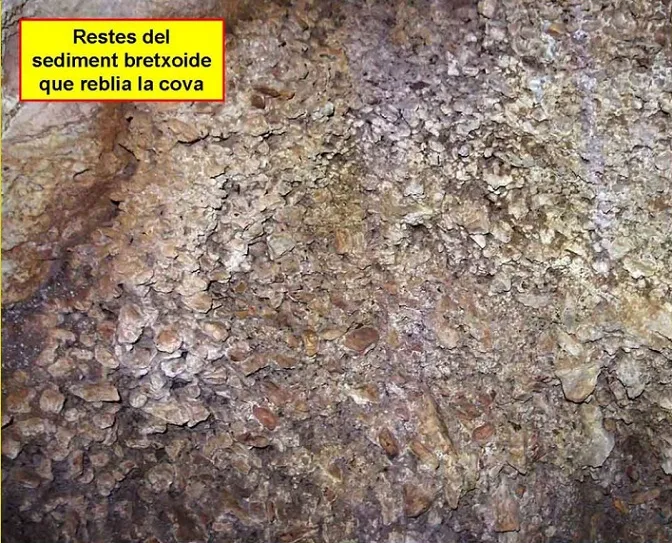 Photograph of VIDABONA, COVA D'EN (7 of 7)