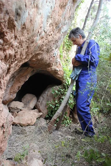 Fotografía de JONCAR, COVETA DEL (1 de 3)
