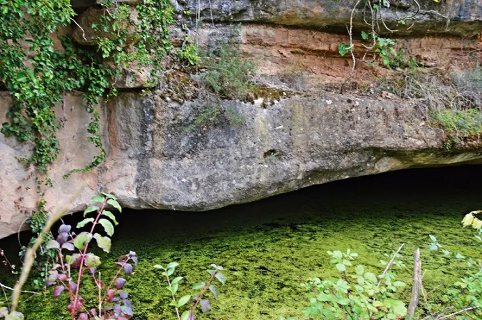 Photograph of FONT DE LA VALL VILARAMÓ, BALMA DE LA (3 of 3)