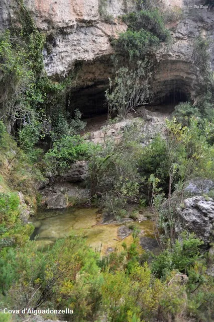Fotografia de AIGUADONZELLA, COVES D' (2 de 5)