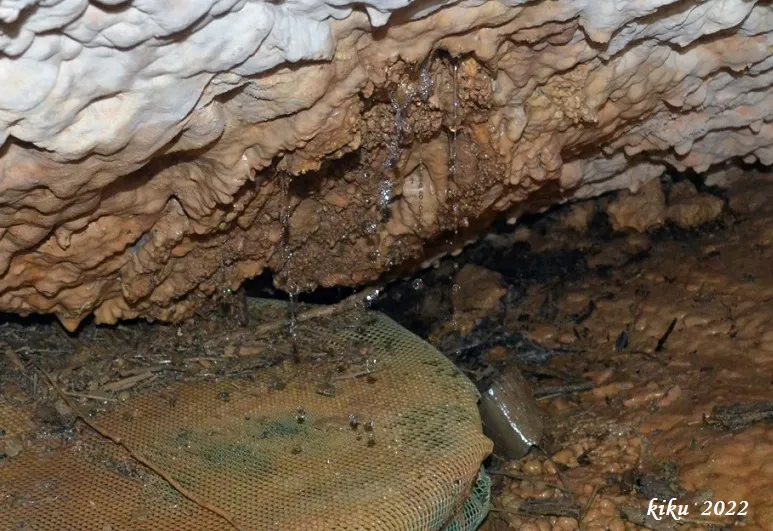 Fotografia de FONT DE LA COVASSA, COVA DE LA (9 de 9)