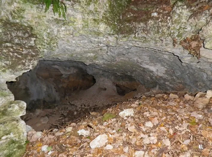 Fotografía de FONTSCALENTS, COVA DE (2 de 3)