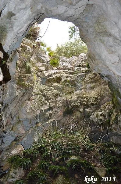 Fotografía de PUIG FRANCÀS, AVENC DE (3 de 7)