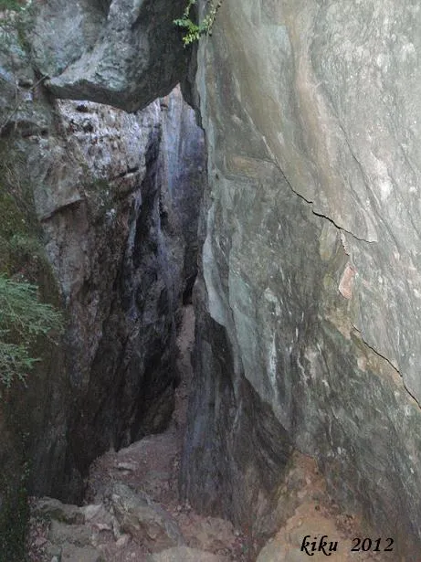 Fotografía de FEBRÓ, AVENCS I COVES DE LA (1 de 10)