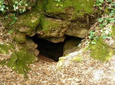 Fotografia de PICAROL, COVA-AVENC DEL (2 de 7)