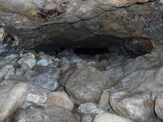 Fotografía de PUNTA DE CALA FORN, COVES DE LA (7 de 8)