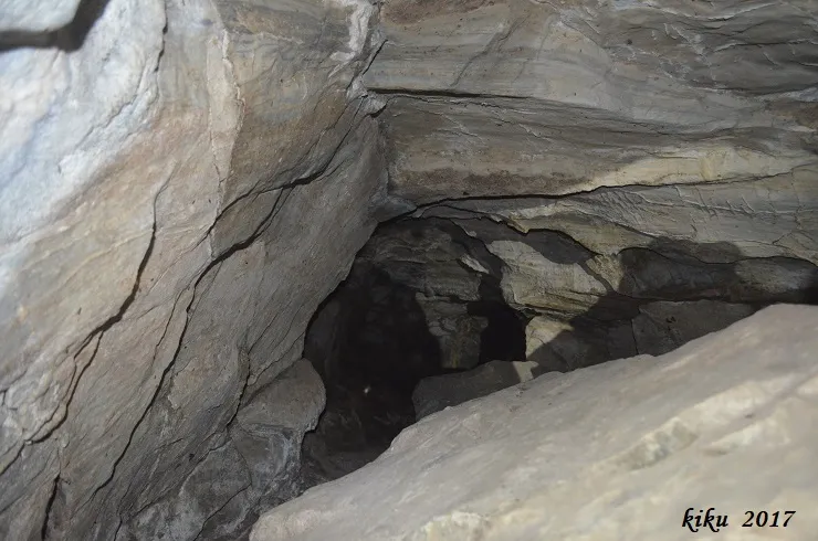 Fotografia de CATAU DE L'ÓS, COVES DEL (2 de 5)
