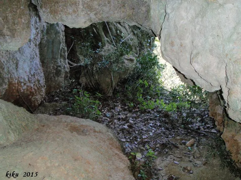 Fotografia de ENCANTATS, COVA PETITA DELS (4 de 4)