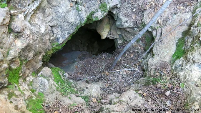 Fotografia de SERRA DEL MAS, AVENC SM-15 DE LA (1 de 2)