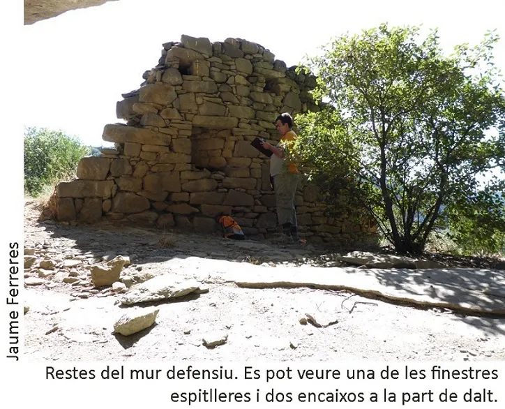 Fotografia de CASTELL DE LA FOSSA, BALMA DEL (5 de 7)