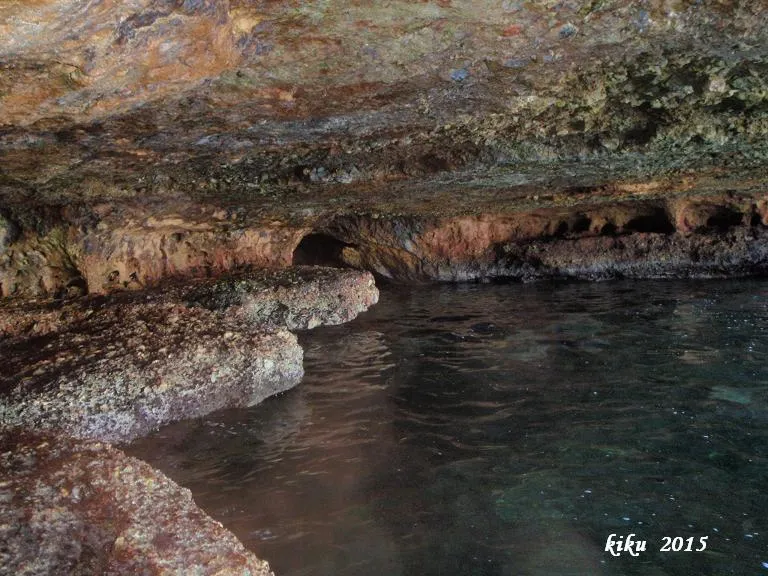 Photographie de LLOP MARÍ, COVA DEL (5 sur 7)