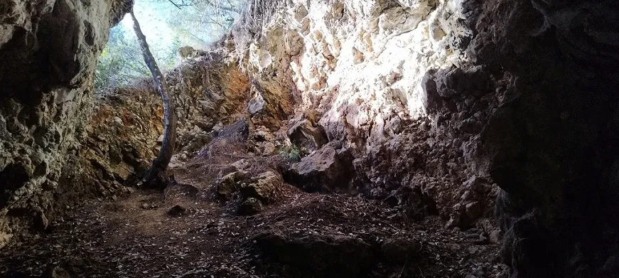 Fotografia de MORSELL, COVA DEL (4 de 4)