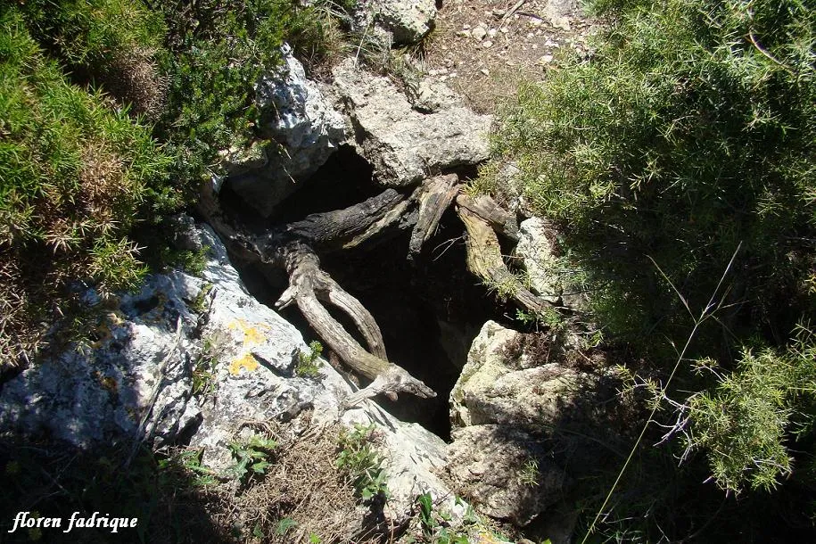 Fotografia de CABRA, AVENC DE LA (1 de 1)