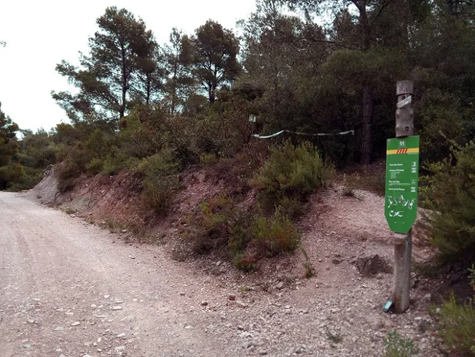 Fotografía de PICOSSA, AVENC DE LA (3 de 9)