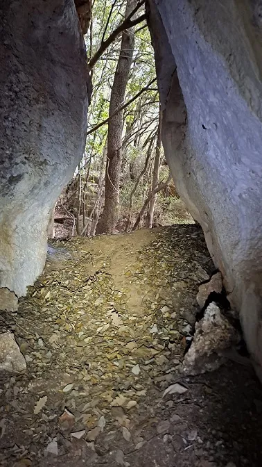 Fotografia de LLIMACS, COVA DELS (3 de 3)