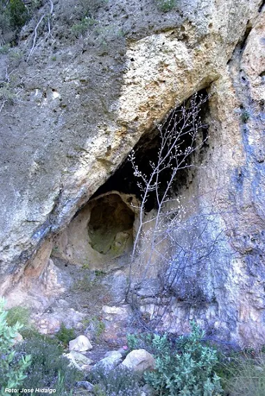 Fotografia de JOAN OLIVÉ, COVA D'EN (1 de 1)
