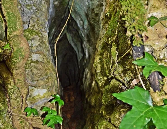 Photographie de FEBRES, FONT DE LES (3 sur 3)