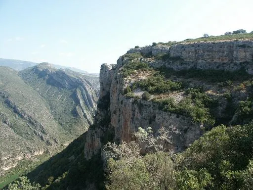 Fotografía de MU, COVES DEL (1 de 11)