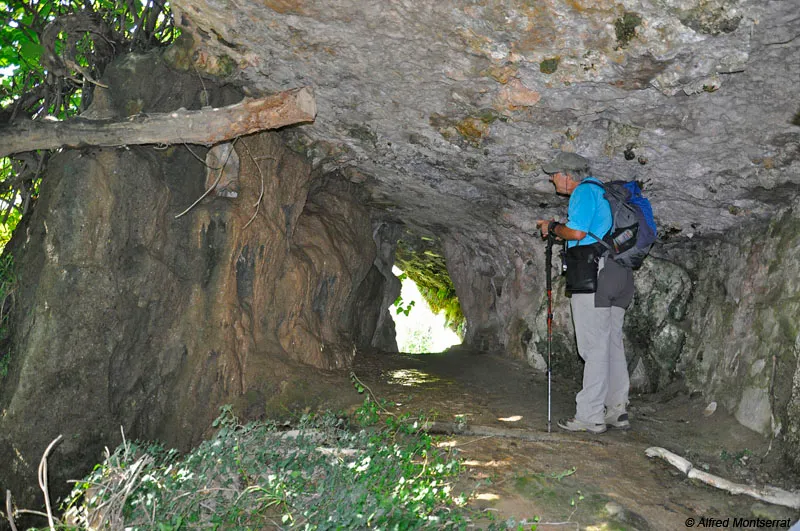 Fotografia de MICÓ, FORAT (1 de 1)