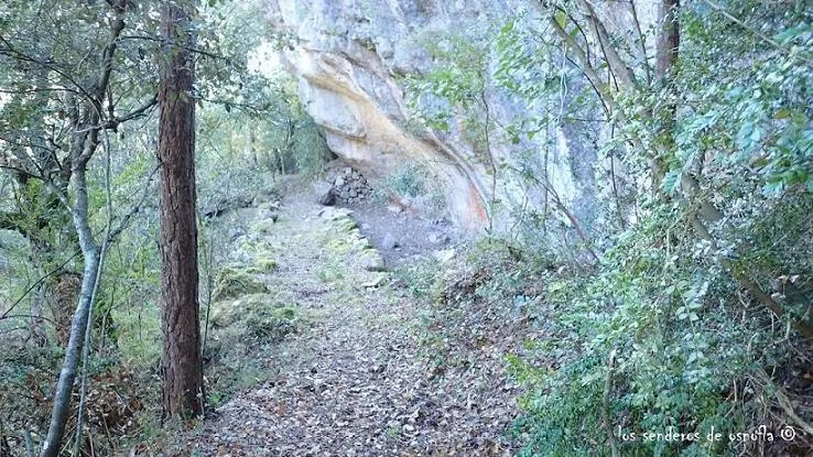Fotografía de ROQUERO, COVA DEL (1 de 2)