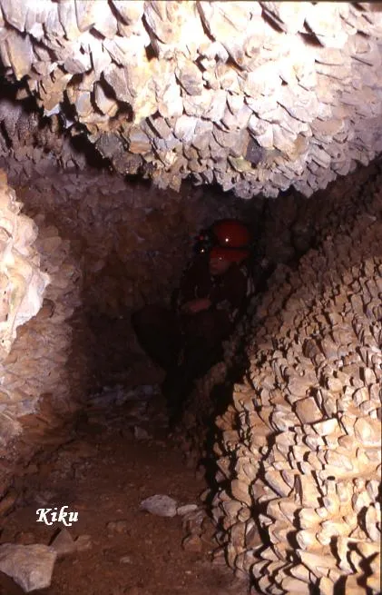 Fotografia de CRISTALL,  COVA DEL (2 de 3)