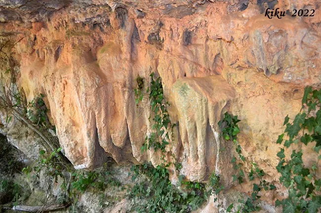 Photographie de GOTETES, COVA DE LES (3 sur 9)