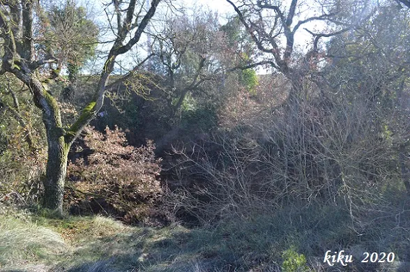 Fotografia de DIABLE, POU DEL (1 de 3)