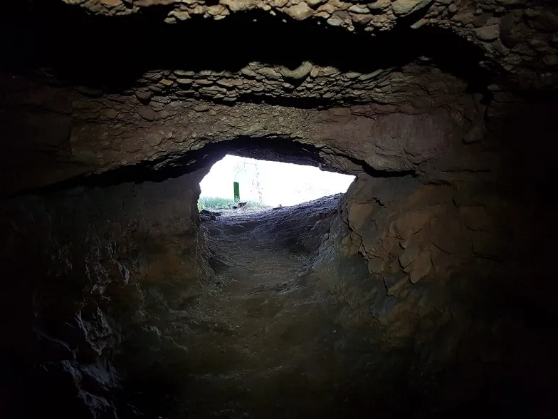 Fotografía de CARNER, COVES D'EN (5 de 7)