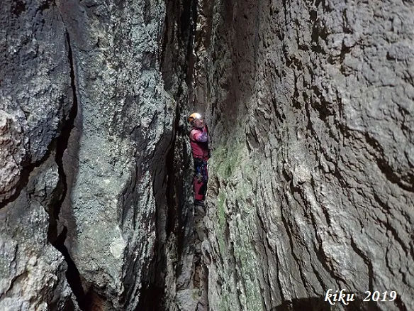 Photographie de PARDINA, GRALLER Nº4 DE LA (7 sur 8)