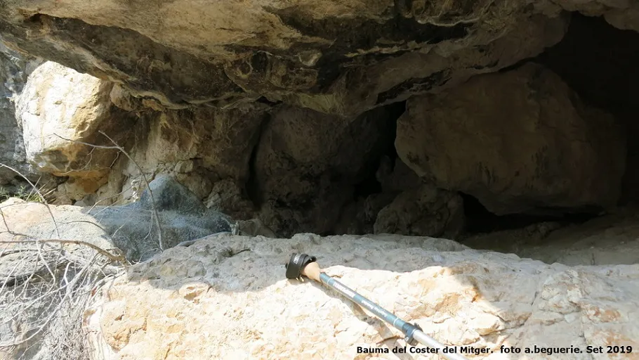 Fotografía de COSTER MITGER, BALMA DEL (2 de 6)