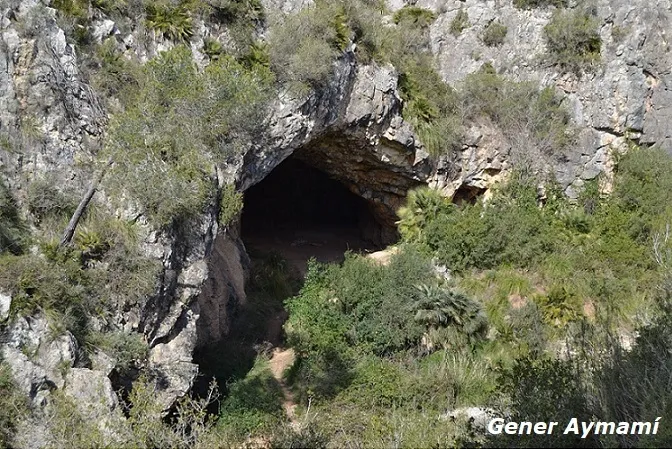 Fotografía de CAN MUNTANER, COVA DE (3 de 4)