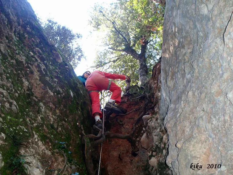 Fotografia de LLEST, AVENC DEL (2 de 13)