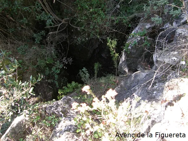 Photographie de ARRELS-CLONC, SISTEMA (1 sur 15)