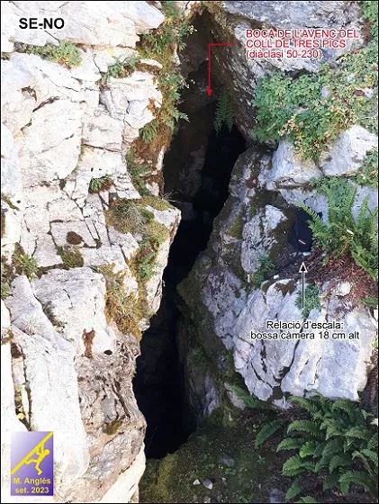 Fotografía de COLL DE TRES PICS, AVENC DEL (3 de 4)