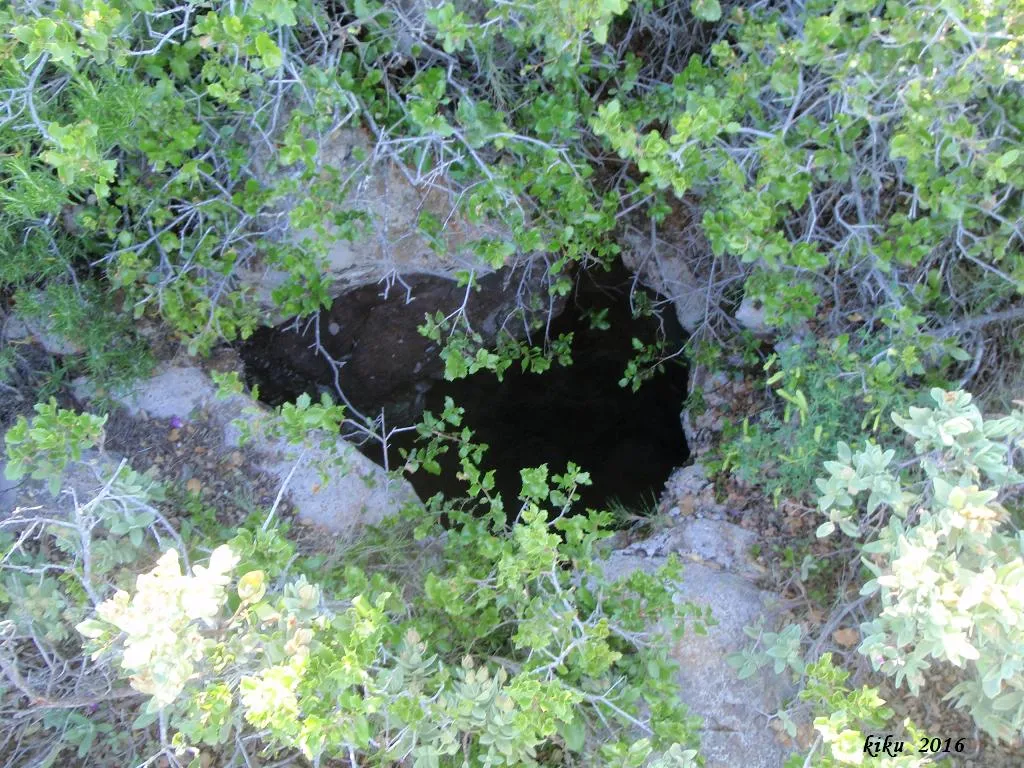 Fotografia de SOLEI DE LA PEDROSA, AVENC PETIT DEL (2 de 5)