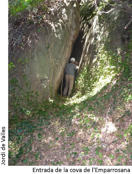 Fotografia de EMPARROSANA, COVA DE L' (1 de 4)