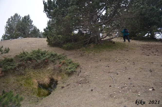 Fotografía de TORROTA, AVENC DE LA (1 de 4)