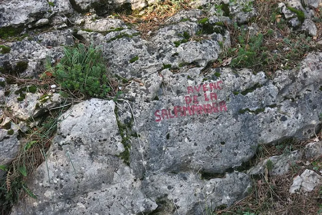 Photograph of SALAMANDRA, AVENC DE LA (1 of 4)