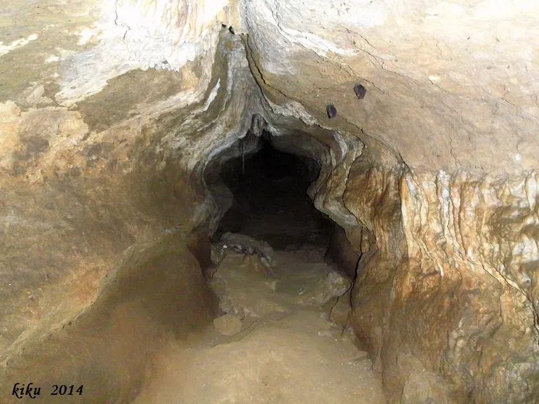 Fotografia de SANT MIQUEL, COVA DE (4 de 9)