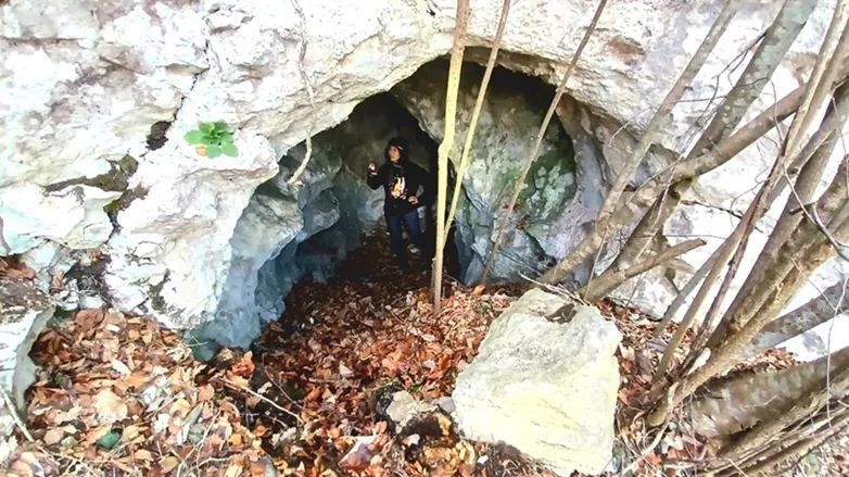 Fotografia de SUST, COVA DEL (1 de 5)
