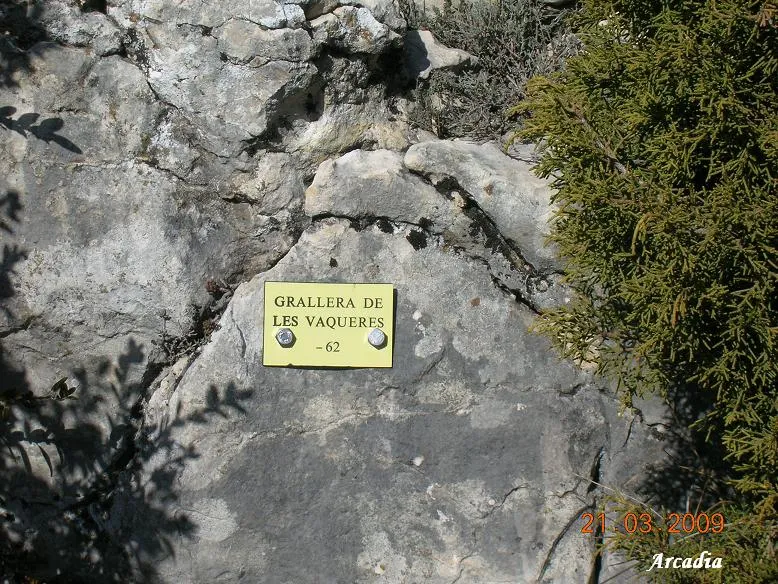 Photographie de VAQUERES,  GRALLER DE LES (1 sur 6)