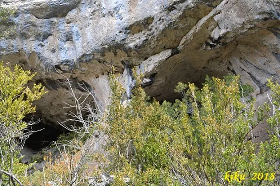 Fotografía de ESCUDELLETA, COVA Nº5 DE L' (2 de 6)